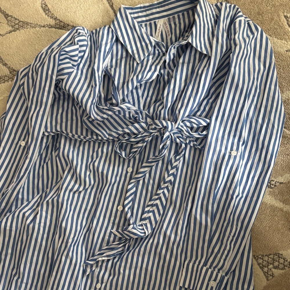 Seraphine Blue and White Striped maternity dress